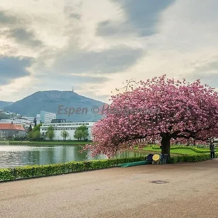 Center Terrace In Quiet Backyard - Stylish *