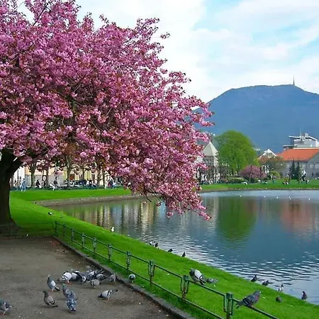 Center Terrace In Quiet Backyard - Stylish * 베르겐