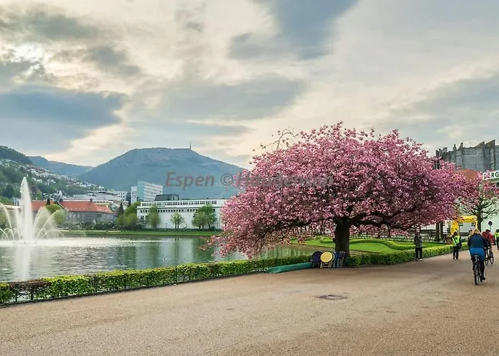 Center Terrace In Quiet Backyard - Stylish *